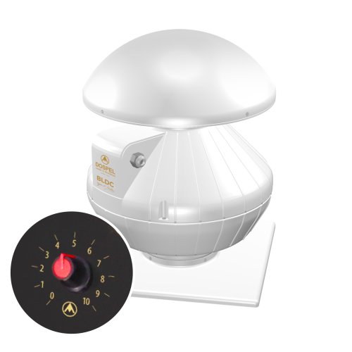 EURO 0 - wizualizacja.png