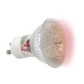 Żarówka z diodami LED GU-10 Czerwona